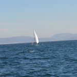 Sailing